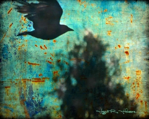 Crow Flying © Jana R. Johnson
